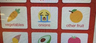 The+icon+Target+uses+for+onions+at+checkout
