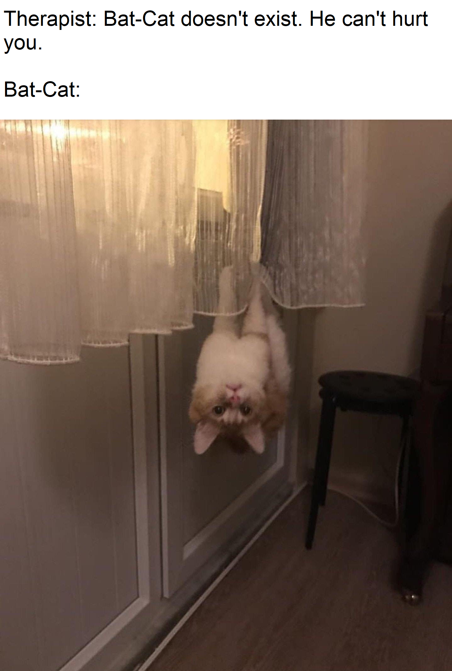 Bat-Cat+coming+for+you.