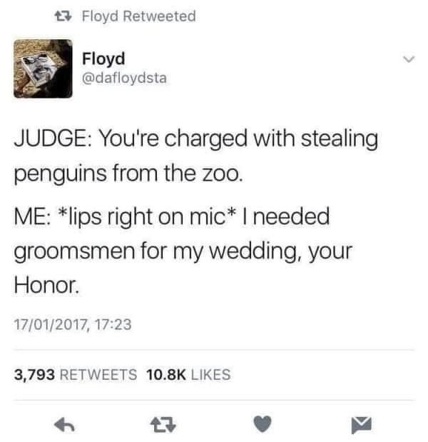 For+the+love+of+birb.