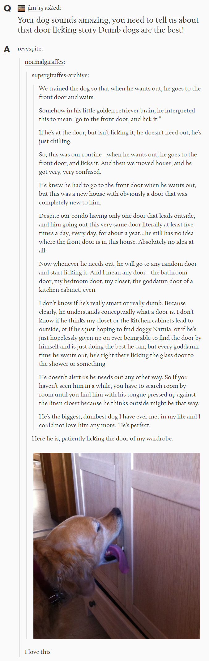 Dumb+boys+are+still+good+boys