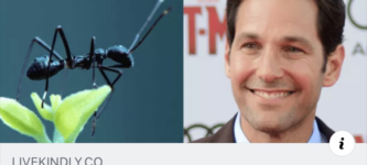 Ant-Man+good.