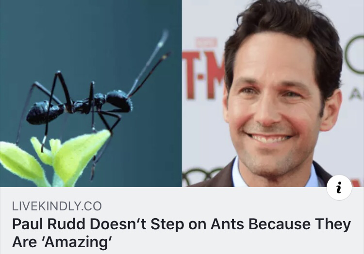 Ant-Man+good.