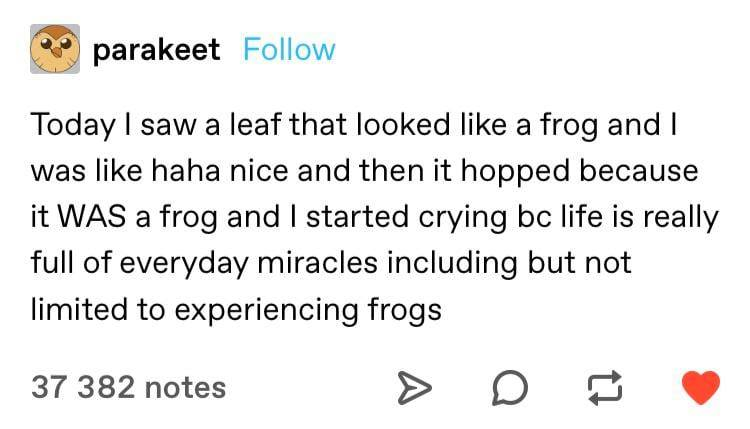 Frogs+are+everywhere.