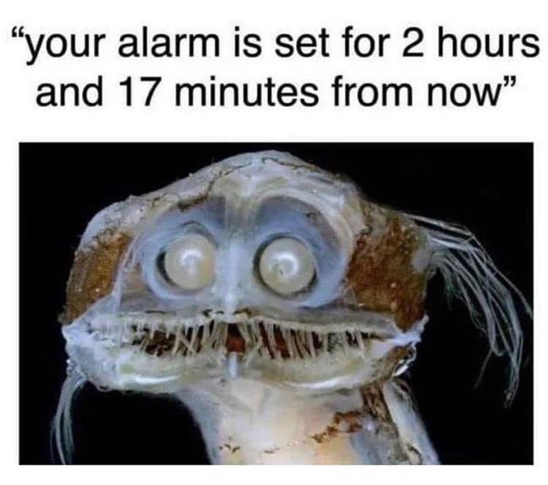 I+am+not+nice+to+myself%26%238230%3B