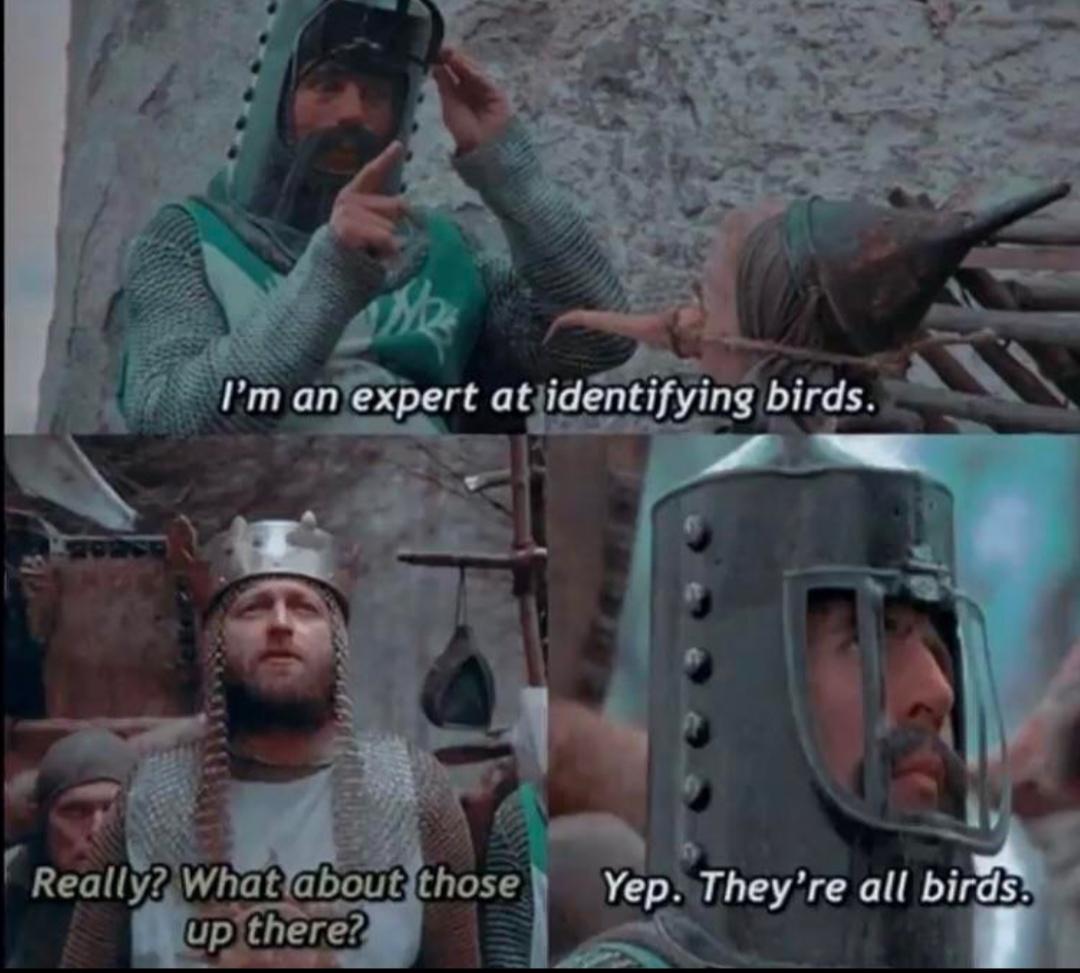 Birds+aren%26%238217%3Bt+real%2C+btw.