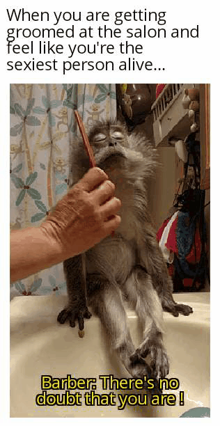 You%26%238217%3Bre+gonna+get+a+good+tip%2C+bud.