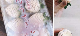 White+Strawberries+from+Japan