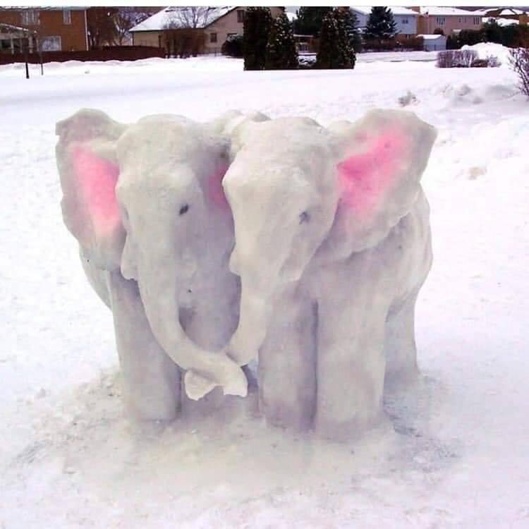 Snow+elephants