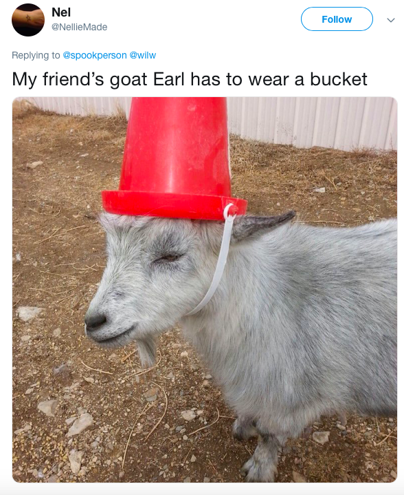 Bad+goat.