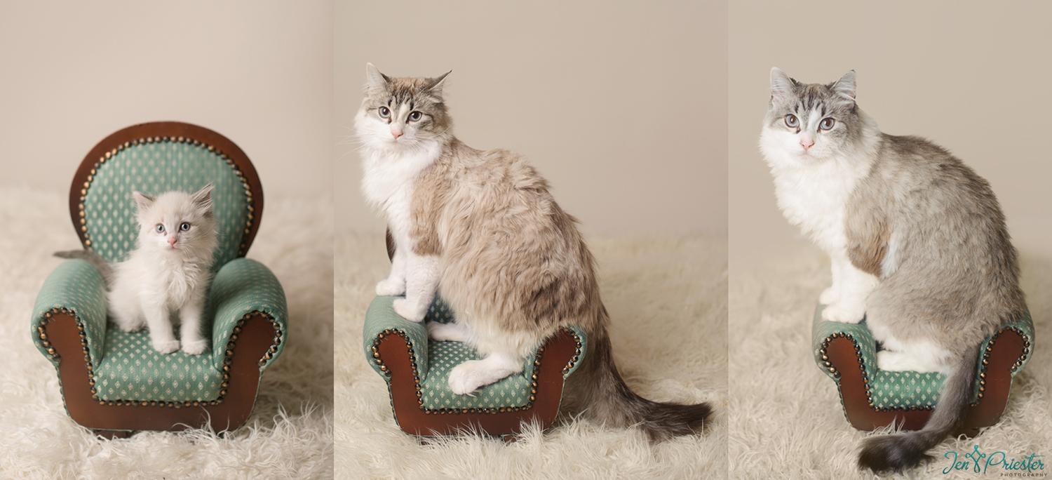 Nikon+at+6+weeks%2C+1+year%2C+and+5+years