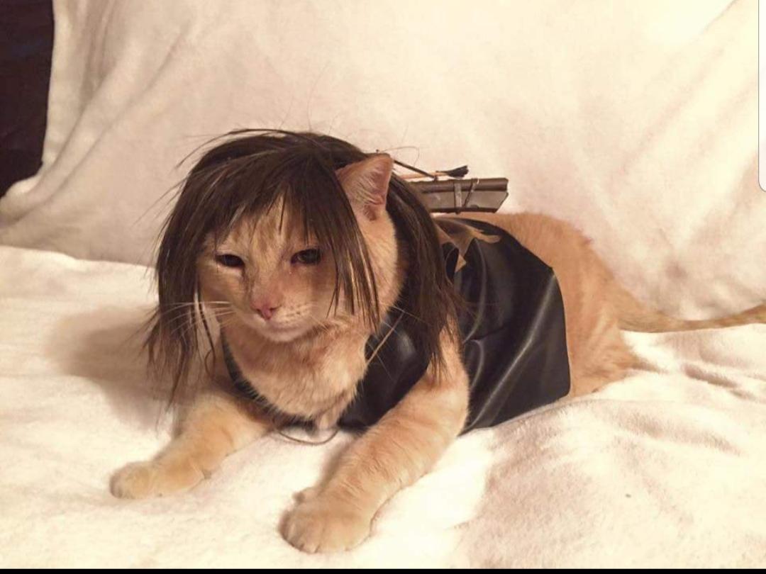 The+Walking+Dead+cosplay%26%238230%3B