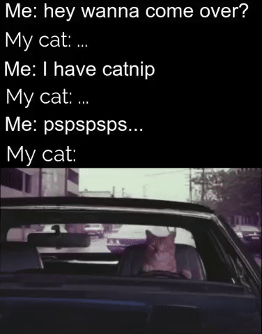 Buckle+up%26%238230%3B