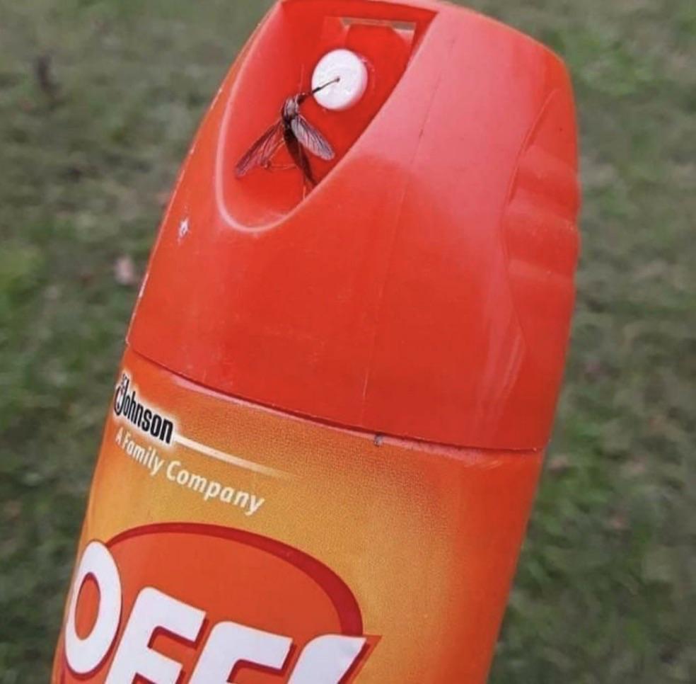 If+you+can%26%238217%3Bt+save+yourself%2C+save+the+others%26%238230%3B