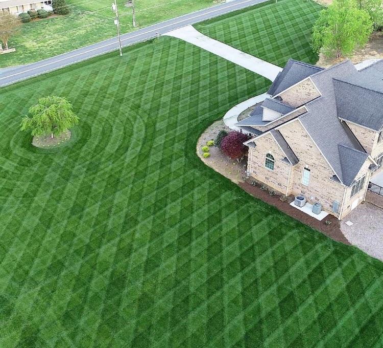 This+is+what+happens+when+robots+mow+your+lawn%26%238230%3B