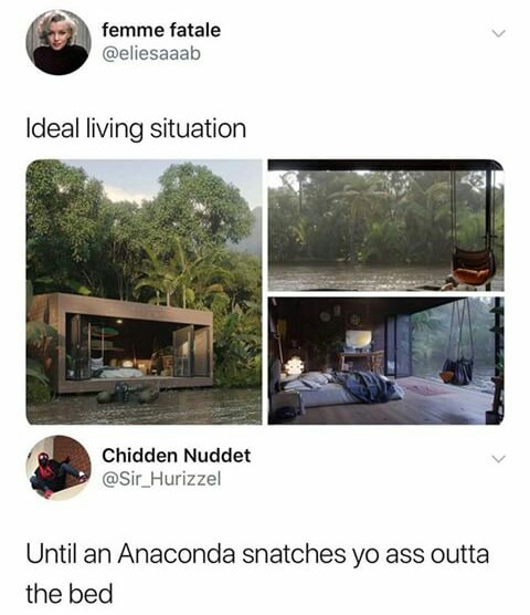 beware+of+the+anaconda%21