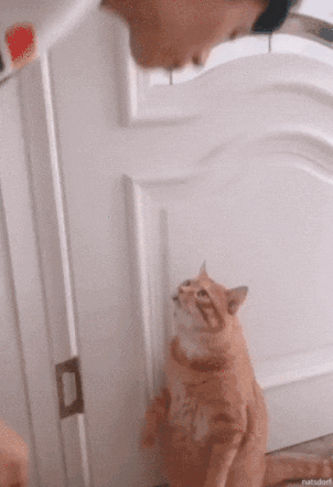 wuv+u+bb%2C+have+good+day