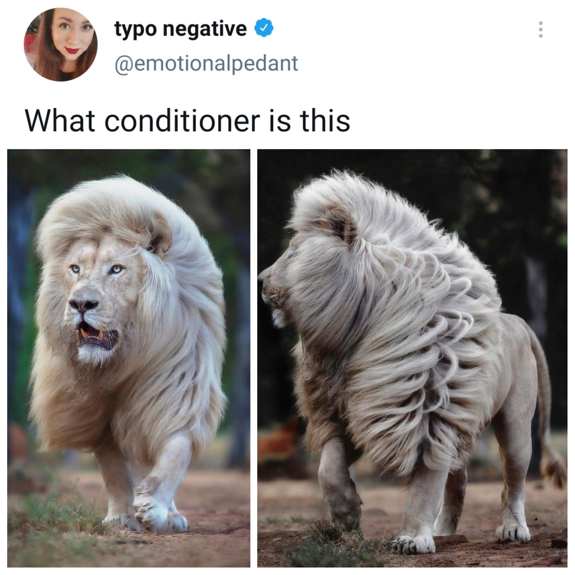 Asking+for+a+friend%26%238230%3B