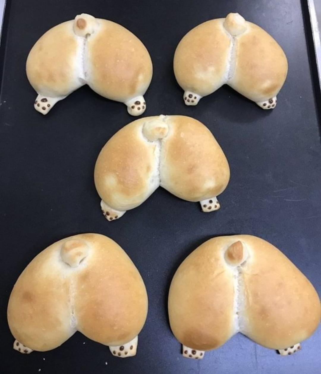 Corgi+butt+bread