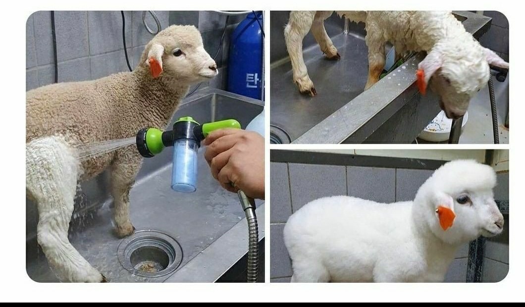 Baptism%2C+basically.