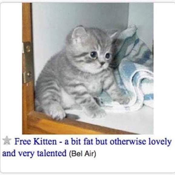 He+is+a+special+boy.