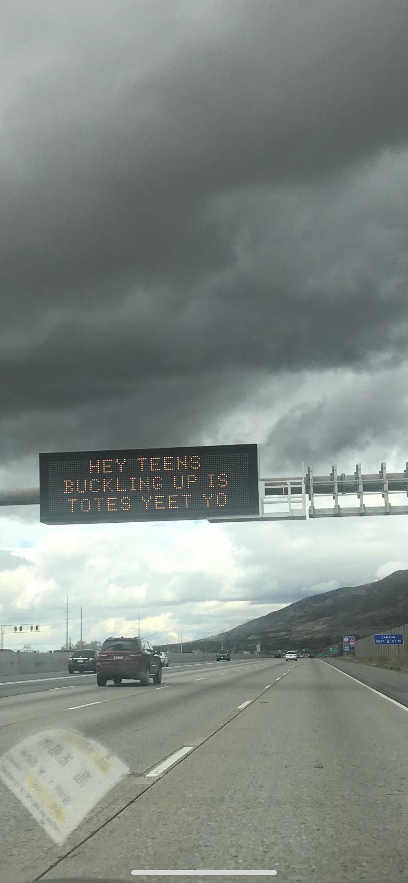 Buckle+up%2C+bucko%21