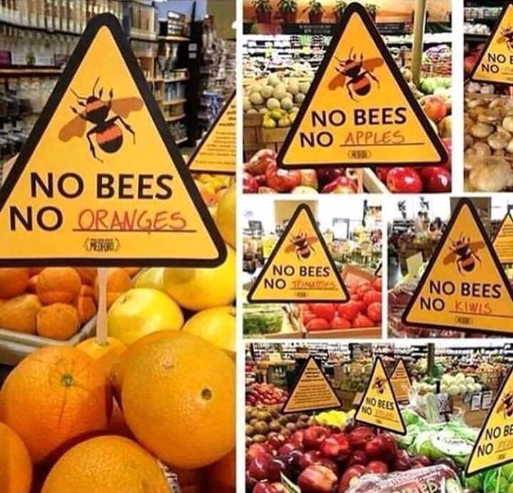 Bees+are+f%2A%2A%2A%2A%2A+awesome