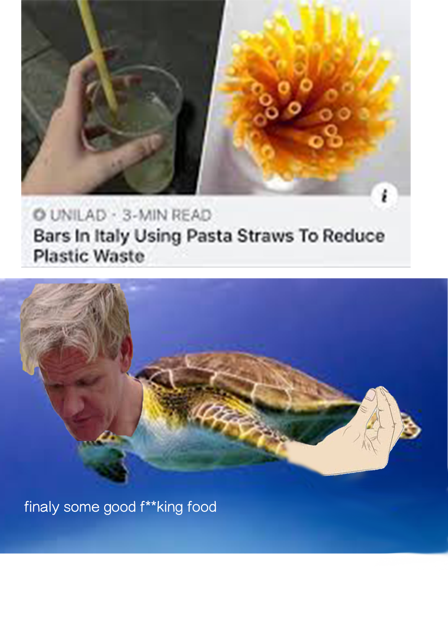 10%2F10+would+snort+again.