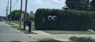 The+hedges+have+eyes%26%238230%3B