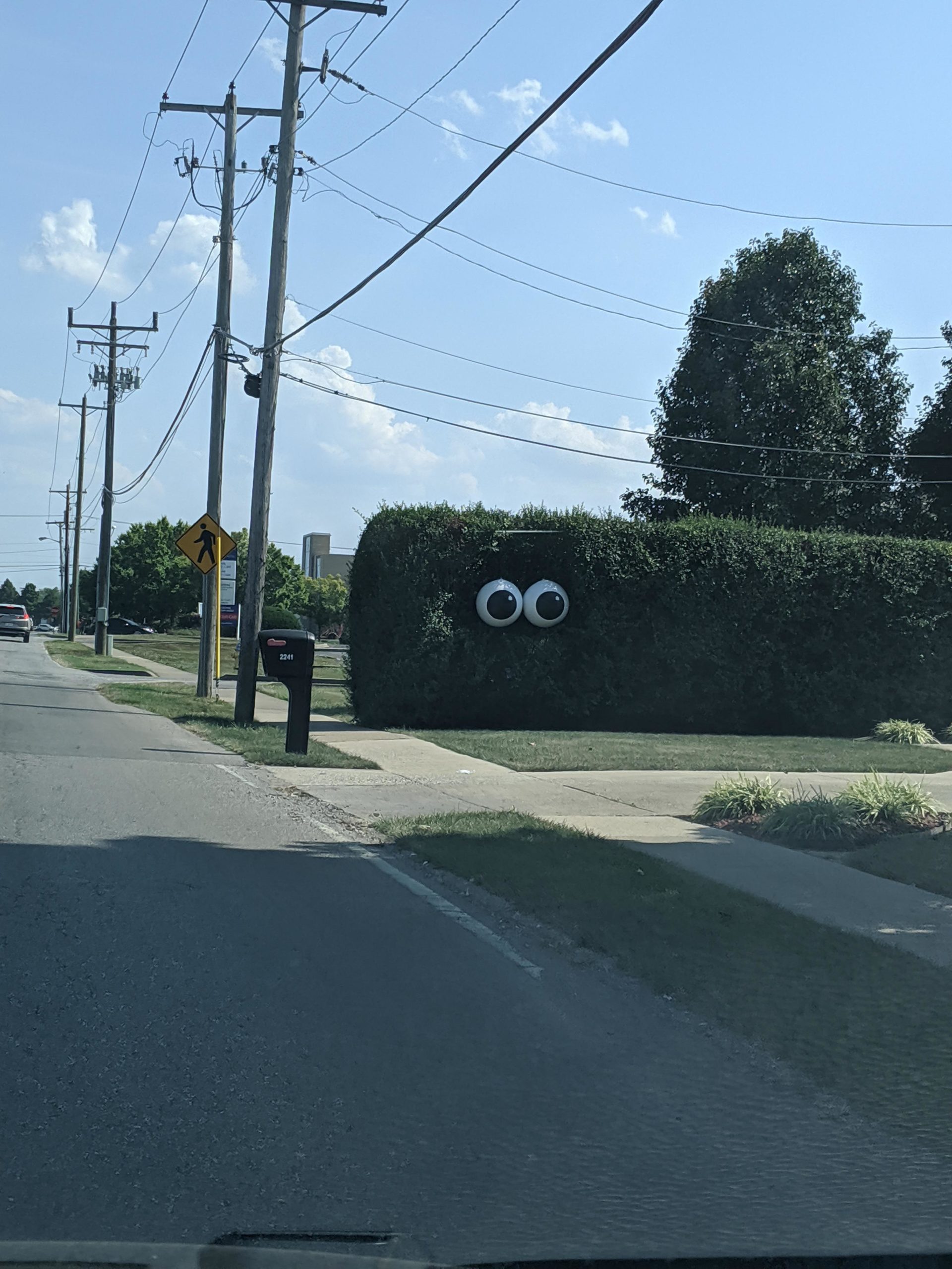 The+hedges+have+eyes%26%238230%3B