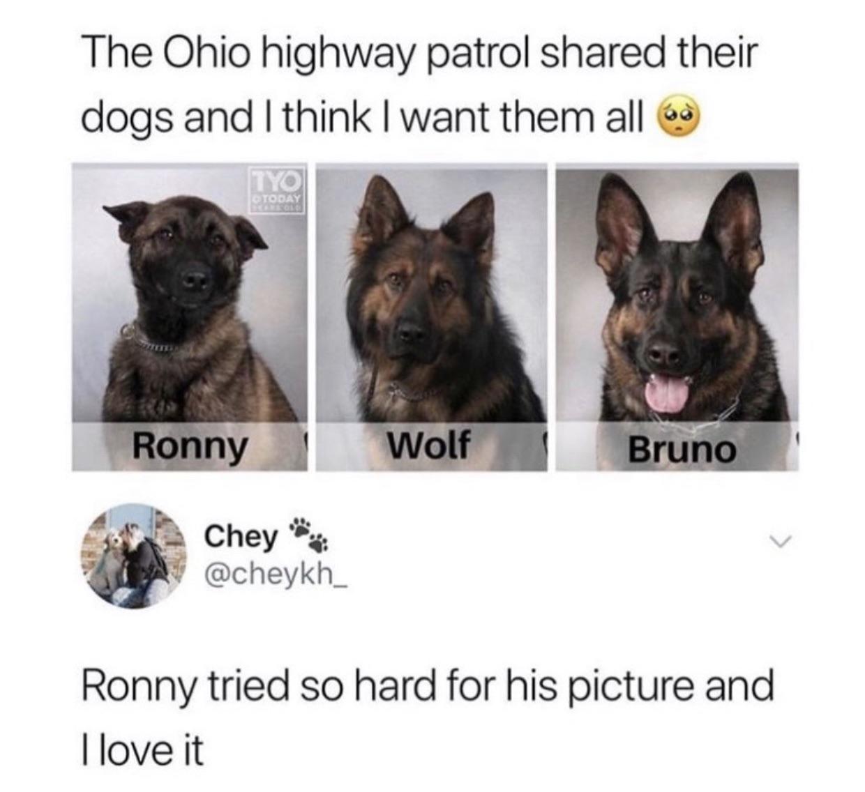 Good+boy+Ronny