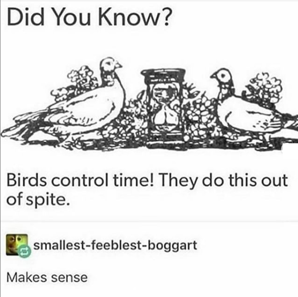 Be+kind+to+the+common+birb.