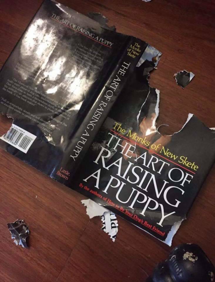 You%26%238217%3Bre+going+to+need+more+books%26%238230%3B