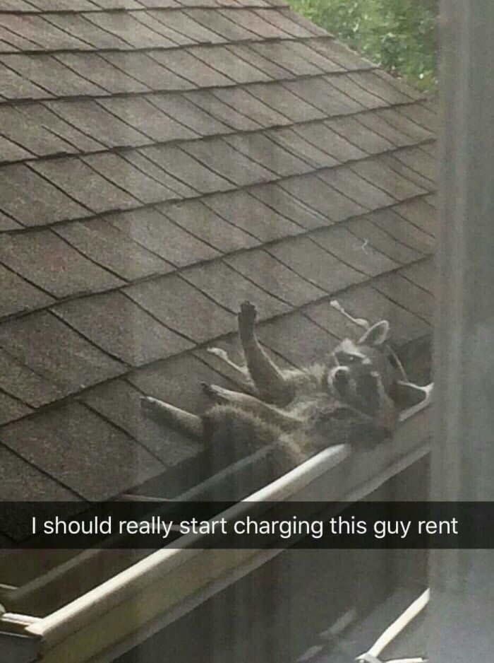 Freeloaders%26%238230%3B