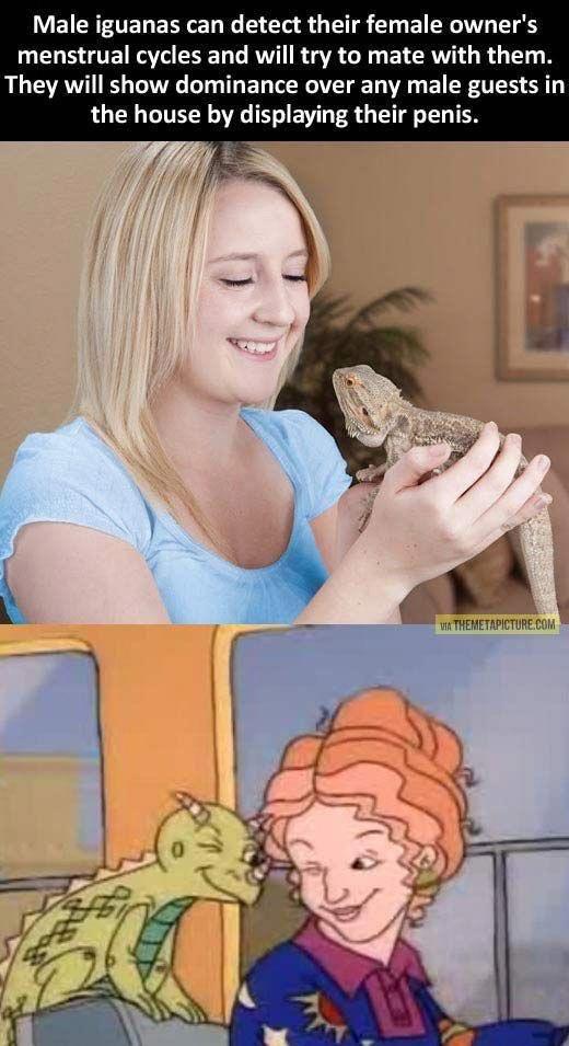 It%26%238217%3Bs+a+scientific+fact