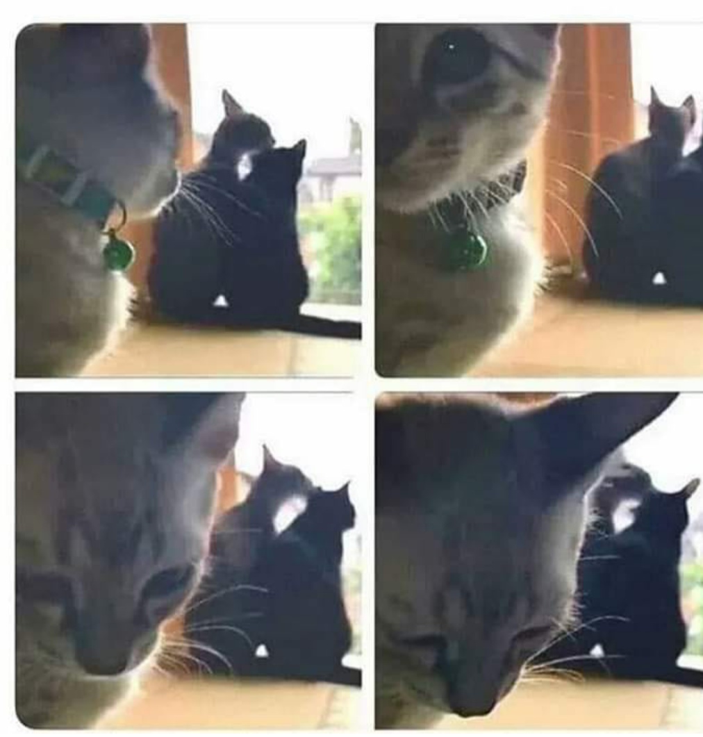 Being+the+third+wheel+can+be+catastrophic.