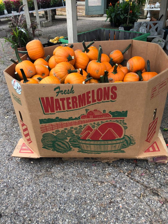 The+melons+have+gone+bad%26%238230%3B