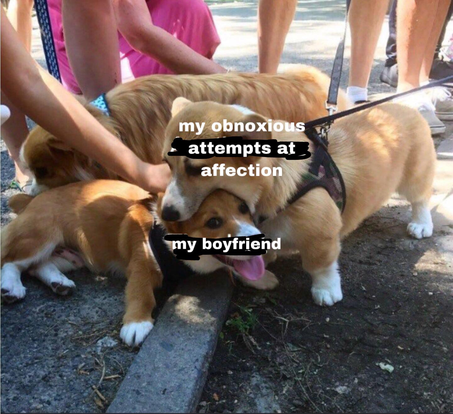 Can+you+taste+the+love%3F