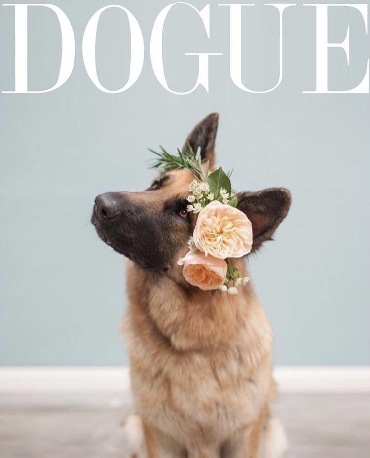 I+would+subscribe+to+this+magazine.