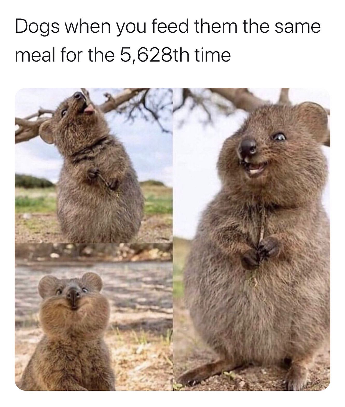 EXTREMELY+PLEASED+WITH+THE+FOOD+THANKS