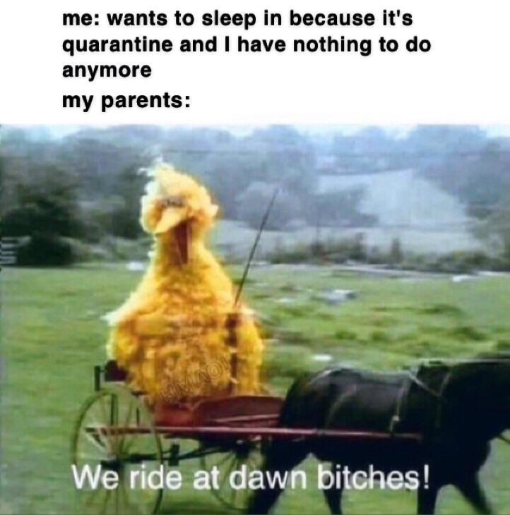 You+still+have+homework%2C+boy.