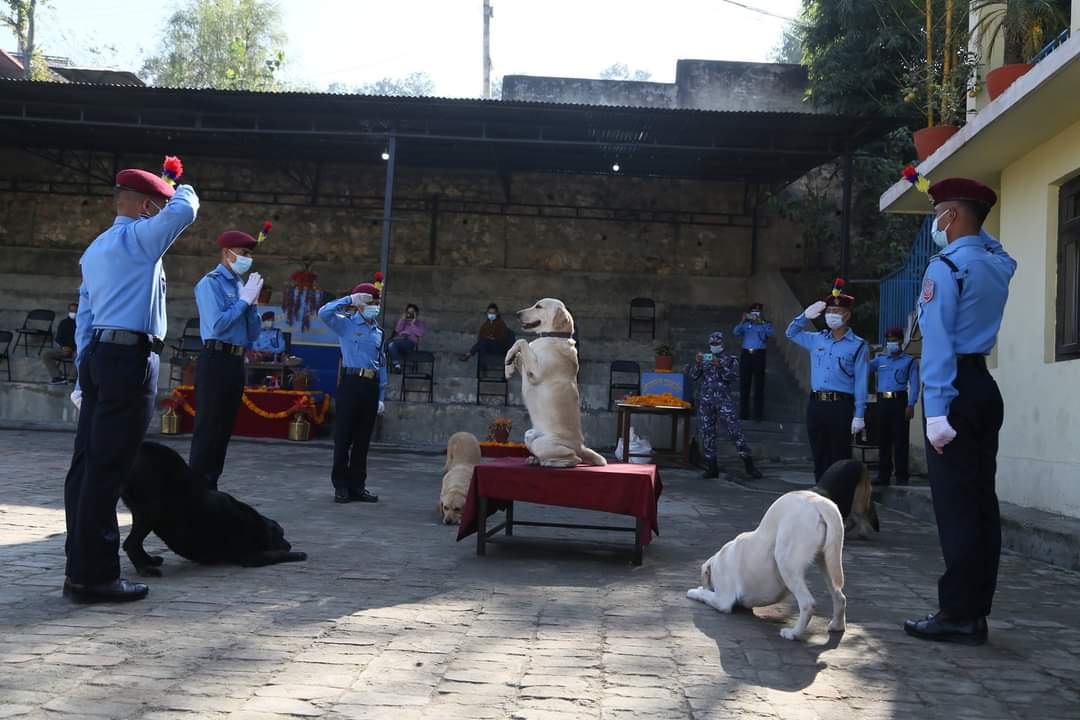 Nepal+Police+worshiping+doge+for+their+Loyalty