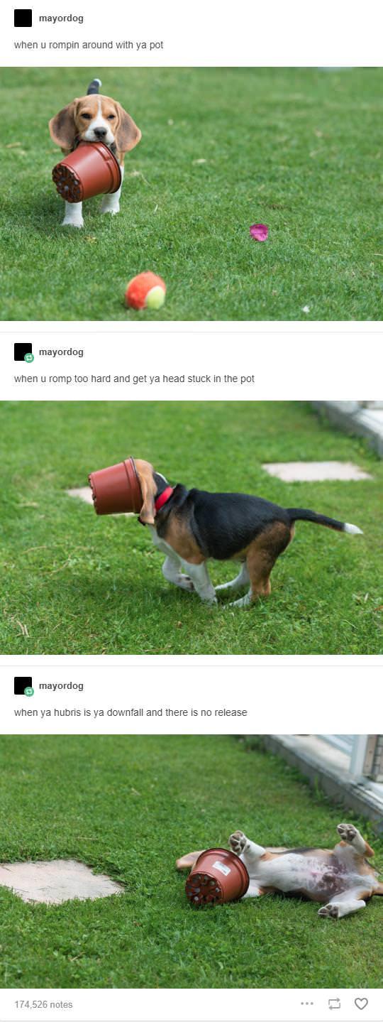 A+tragedy+in+three+parts