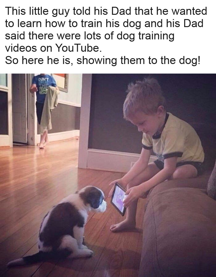 How+to+train+your+dog.