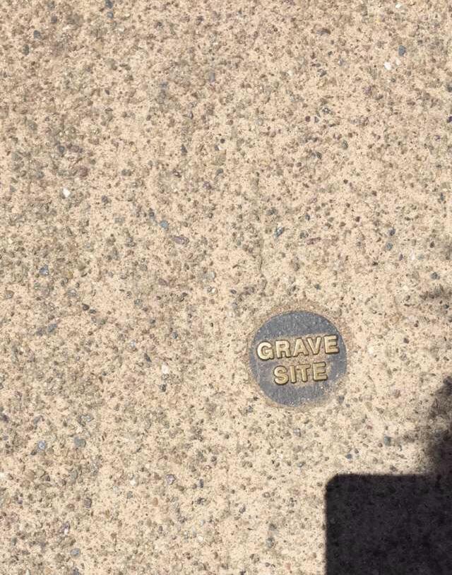 Sidewalks+in+San+Diego+have+a+certain+morbidity+to+them.