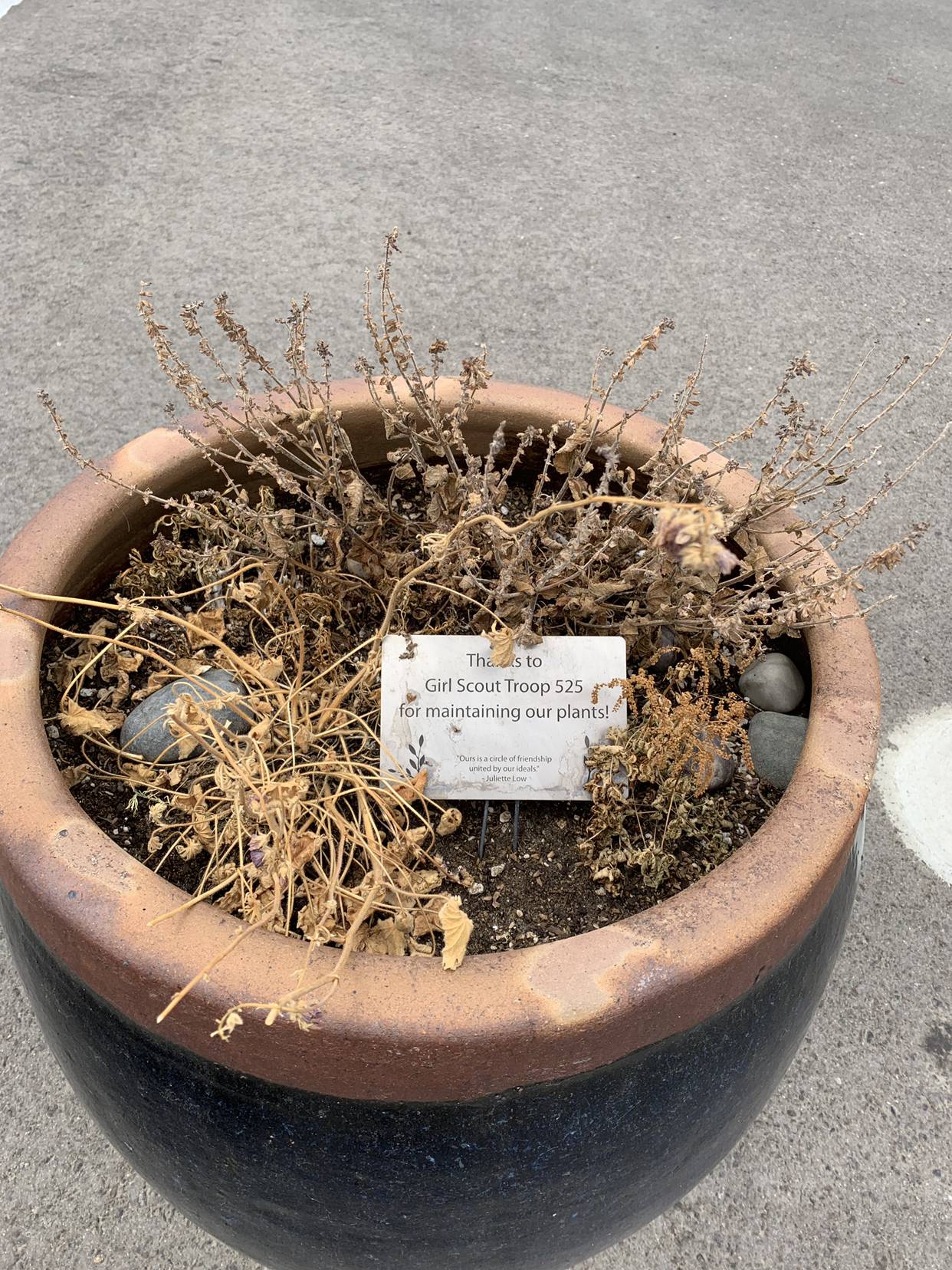 Looks+like+it%26%238217%3Bs+time+to+call+in+the+Boy+Scouts.