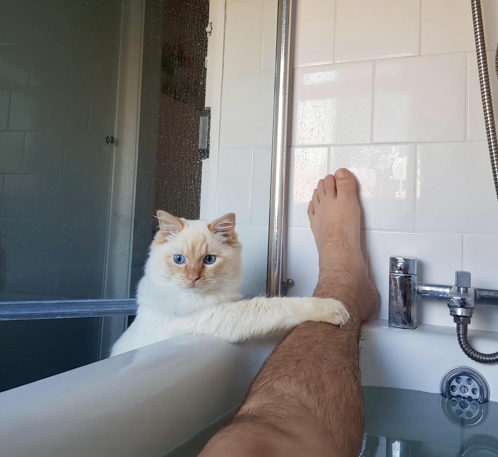 He+always+tries+to+rescue+me+when+I+take+a+bath