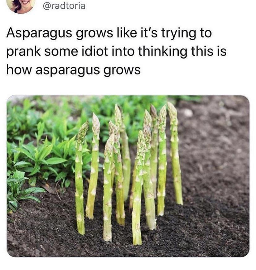 Never+trust+asparagus.