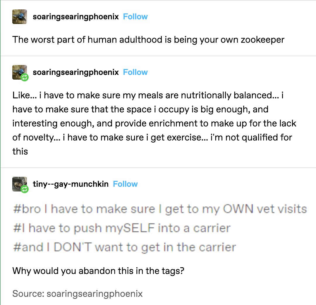 Hello+fellow+zookeepers