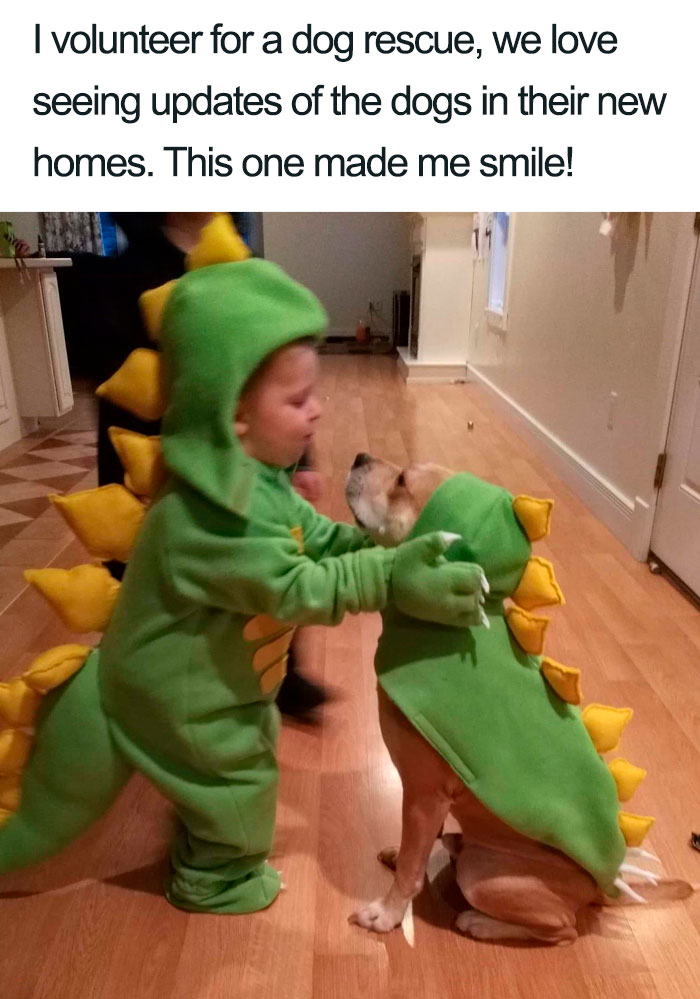 New+puppers+can+be+fun.