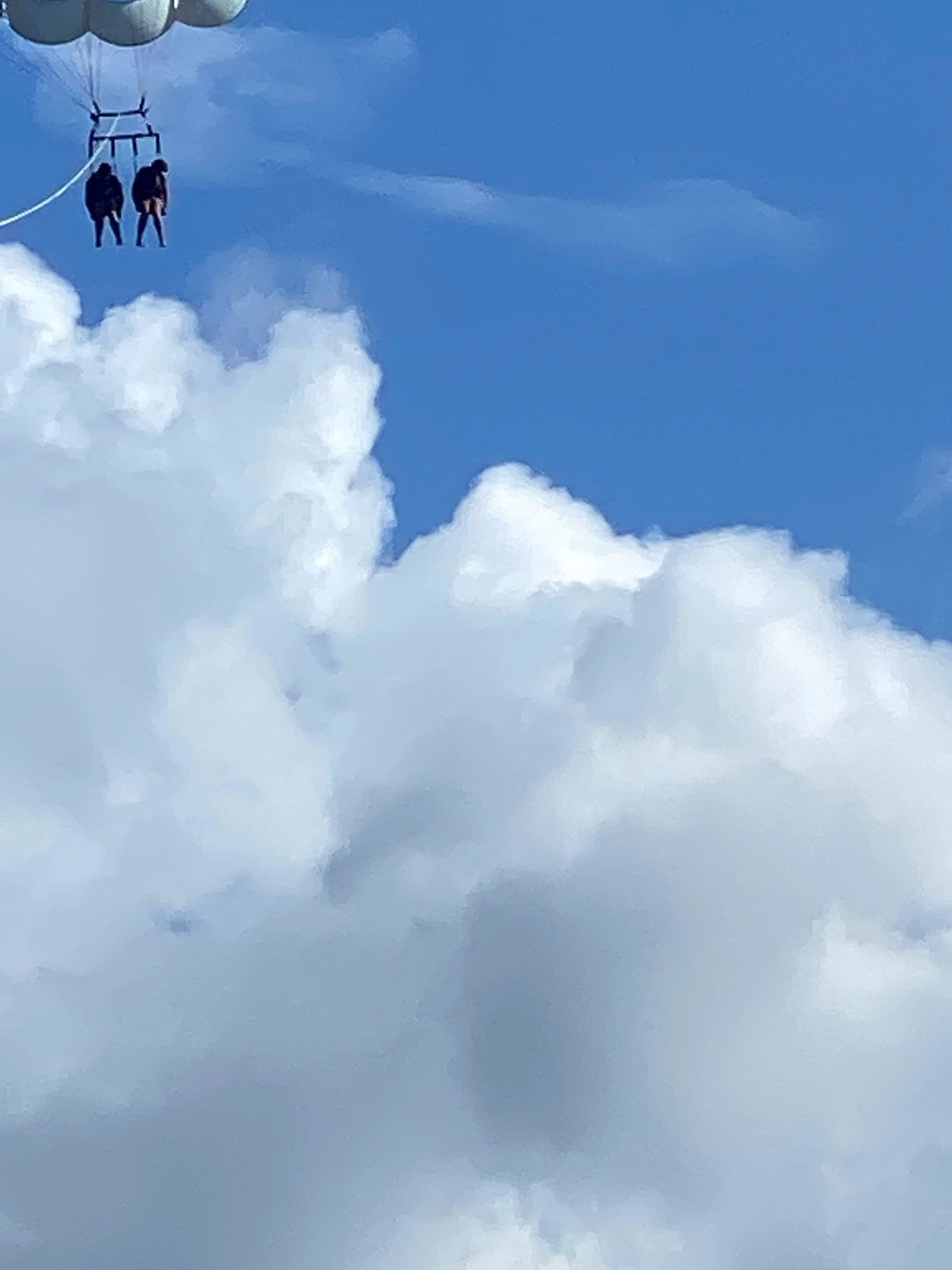 Took+kids+parasailing+and+they+played+dead.